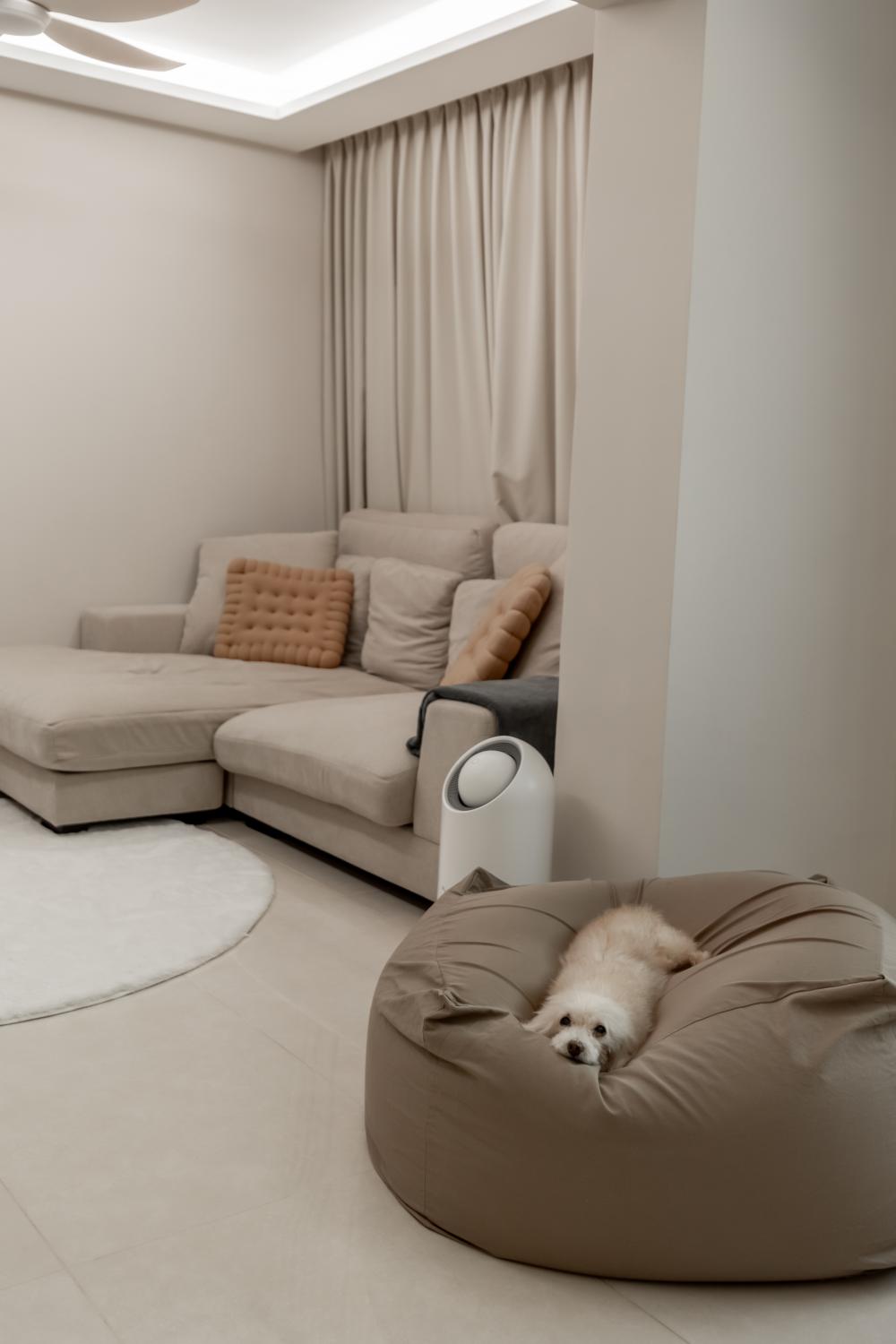 Contemporary Living Room with Feature Wall and Sofa