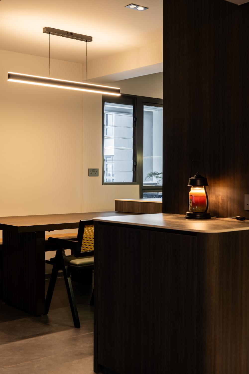 Contemporary Dining Room with Ceiling Light and Dining Table