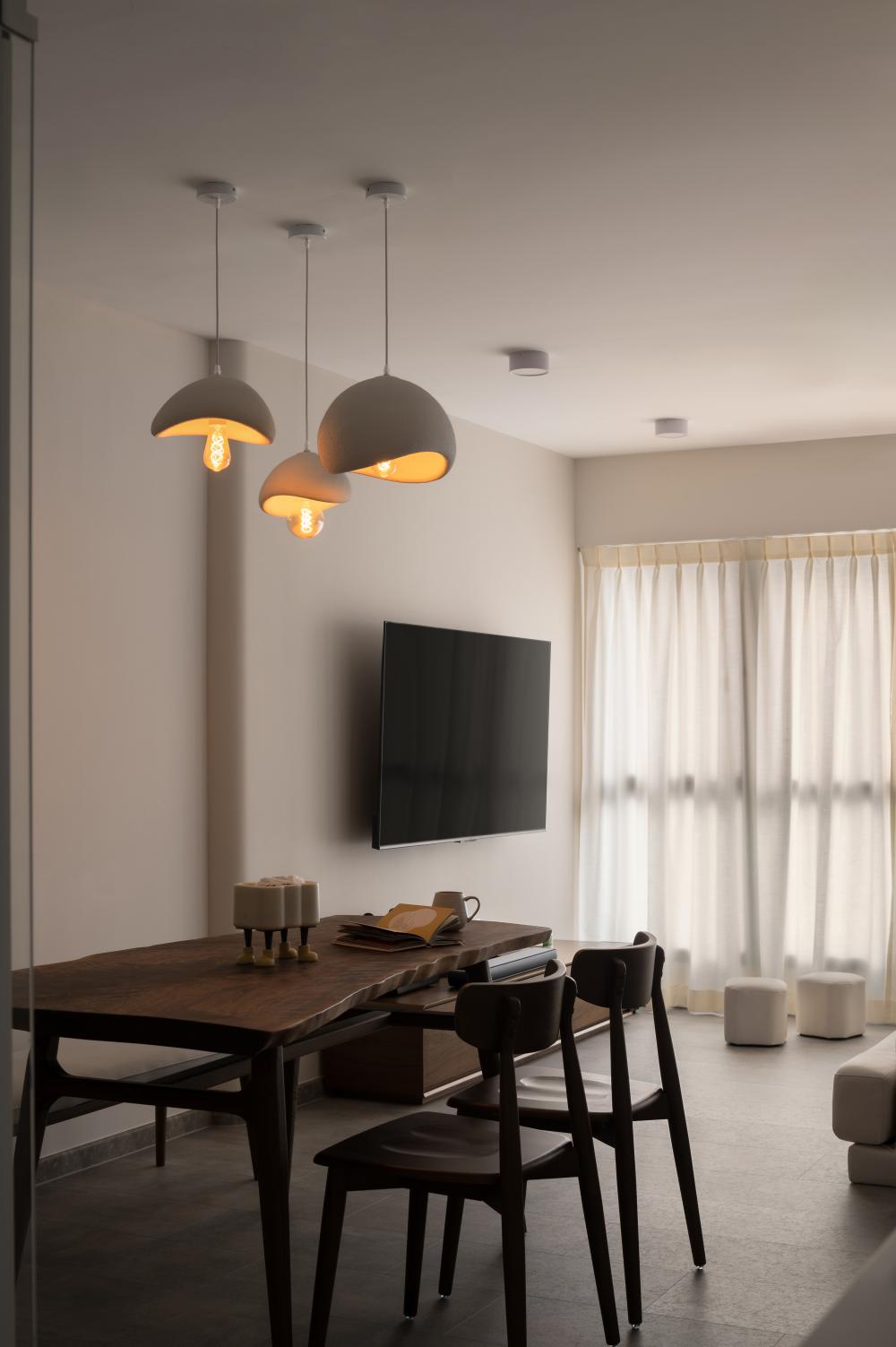 Scandinavian Dining Room with Ceiling Light and Dining Table