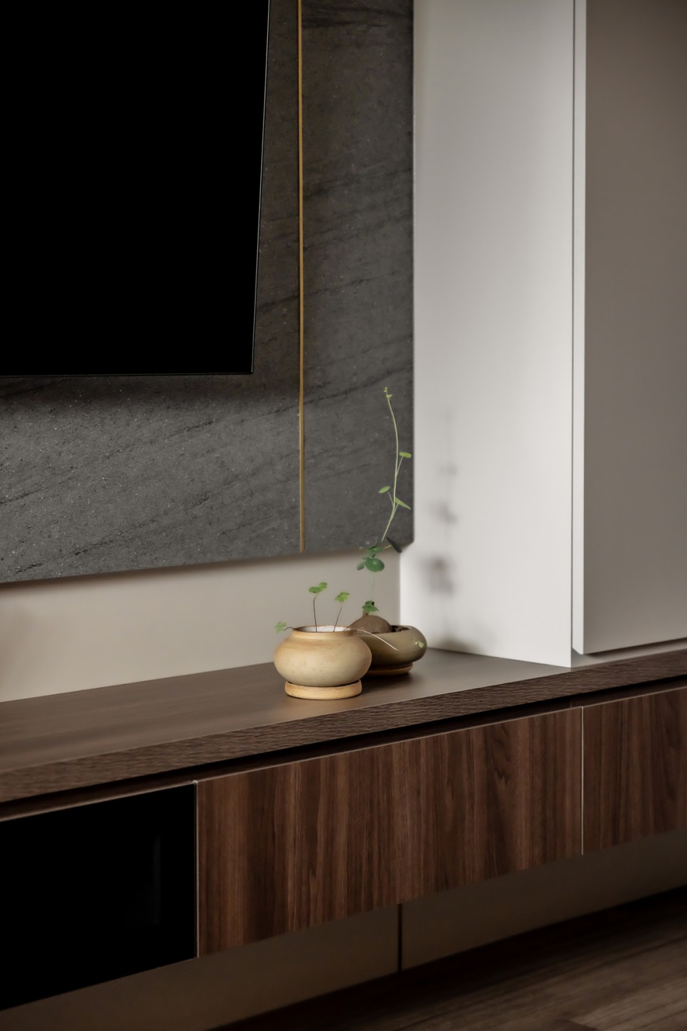 Contemporary Living Room with Feature Wall and Planters