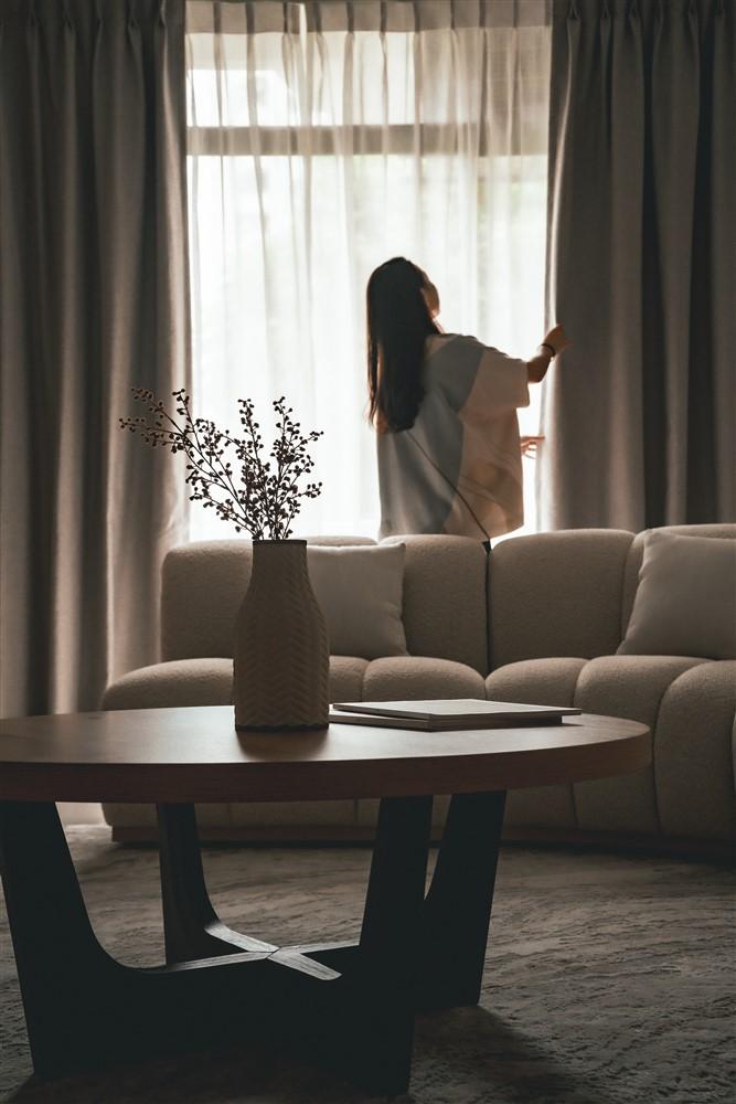 Contemporary Living Room with Carpet and Curtain