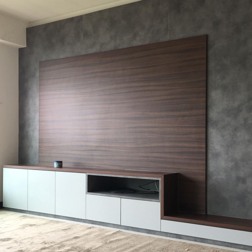 Modern Living Room with Wood Flooring and TV Console