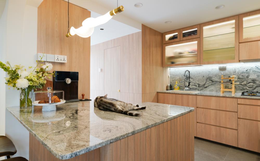 Scandinavian Kitchen with Countertop and Kitchen Island