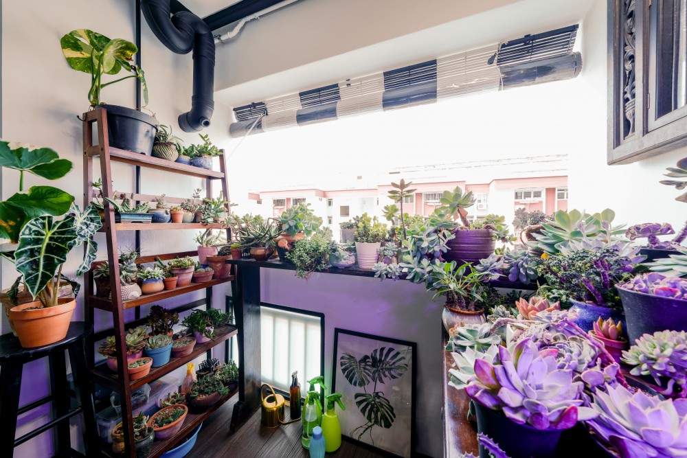 Industrial Entryway with Planters and Houseplants