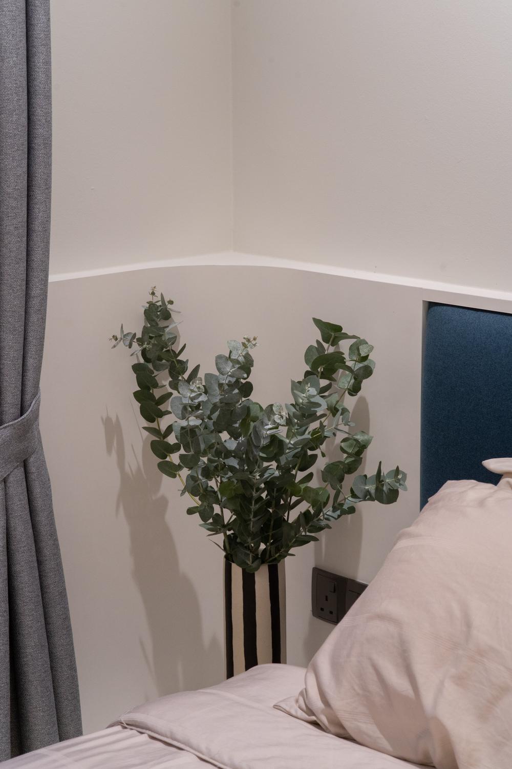 Contemporary Bedroom with Single Bed and Day Bed