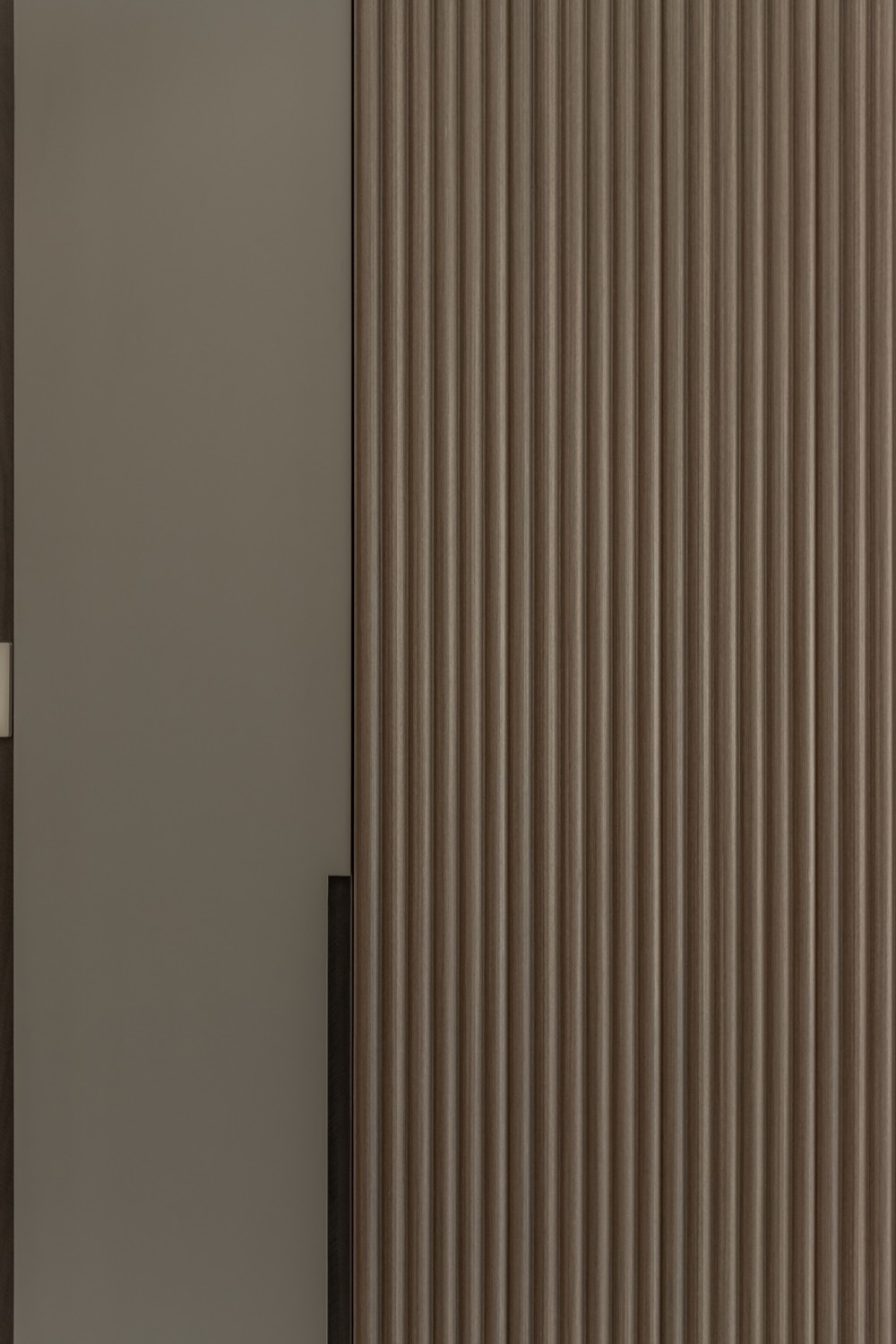 Contemporary Entryway with Feature Wall and Shoe Rack