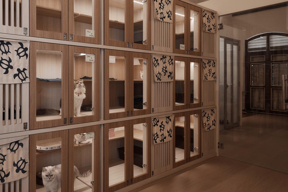 Scandinavian Retail with Wall Shelves and Shelving Units