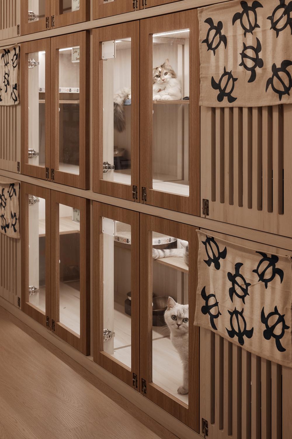 Scandinavian Retail with Wall Shelves and Shelving Units