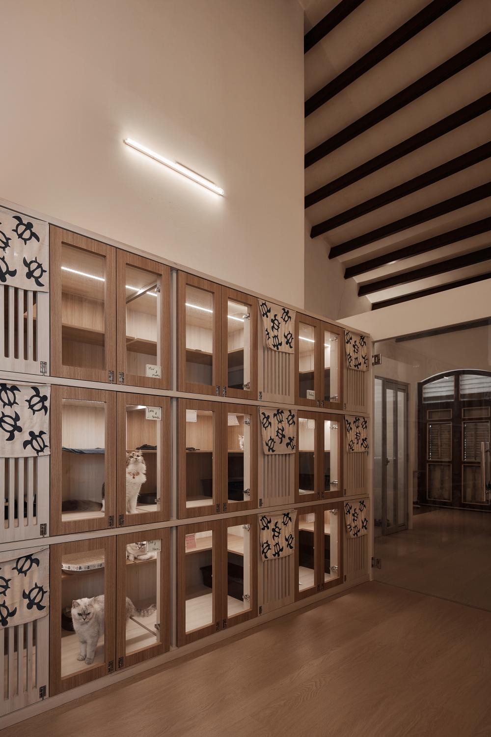 Scandinavian Retail with Wall Shelves and Shelving Units