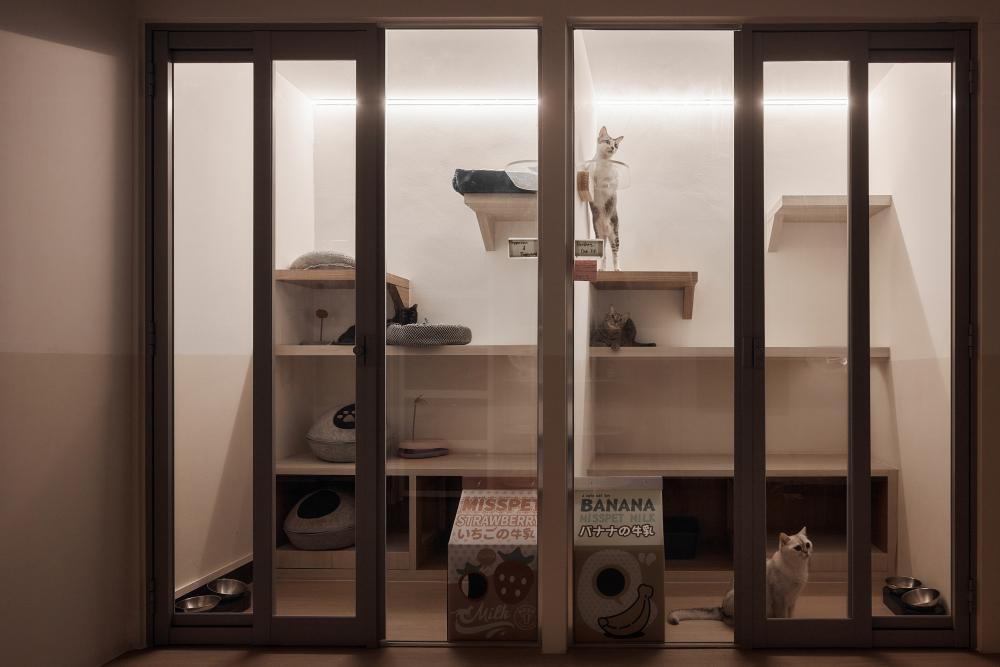 Scandinavian Retail with Wall Shelves and Shelving Units