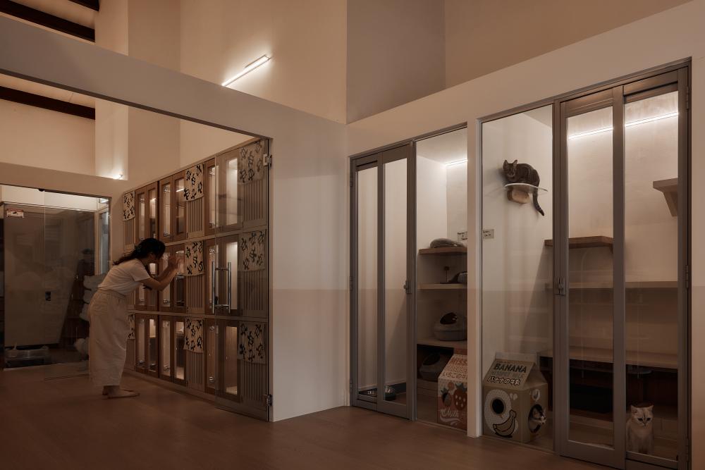 Scandinavian Retail with Wall Shelves and Shelving Units