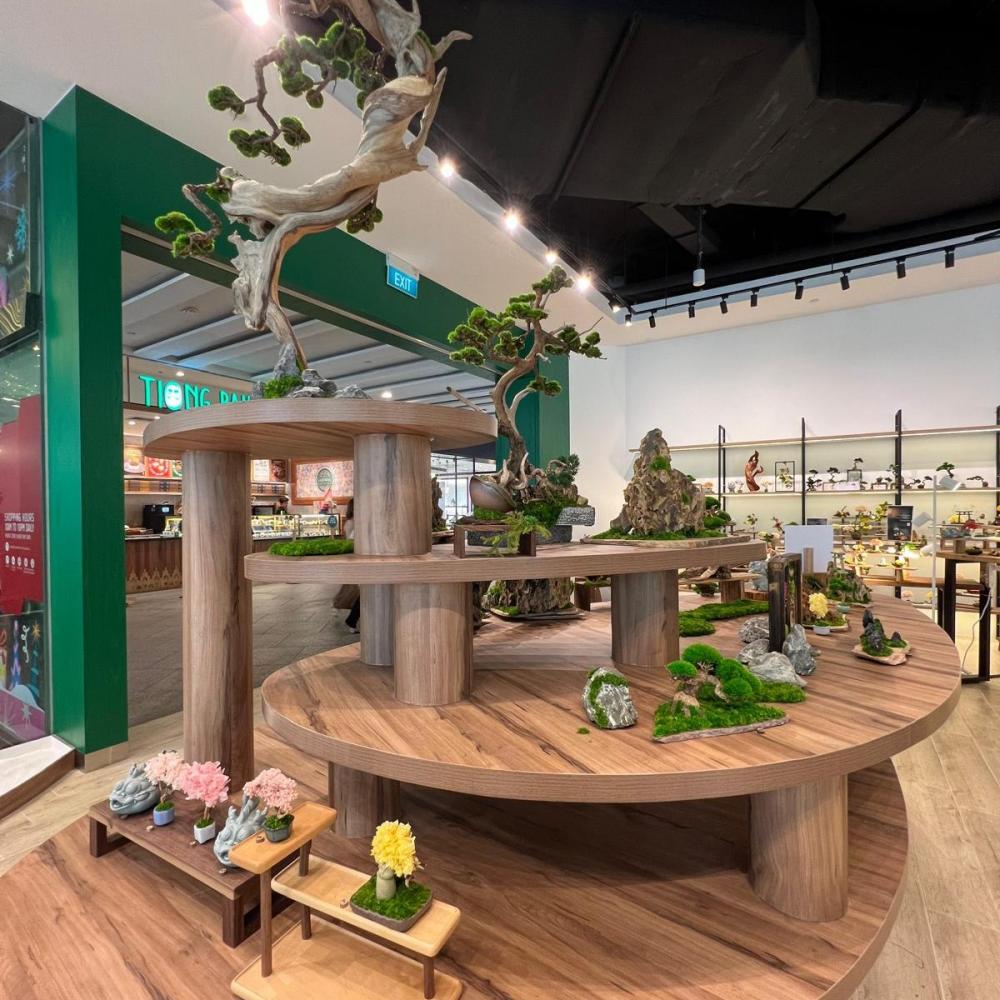 Asian Shopfront with Wall Shelves and Display Cabinets