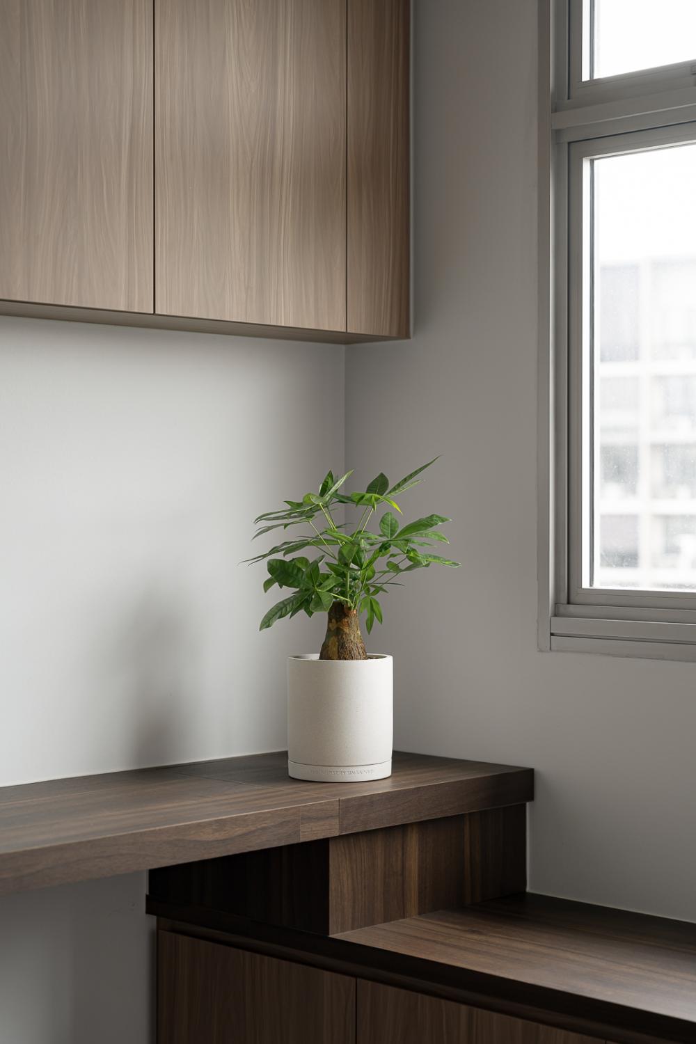 Scandinavian Workstation with Bookshelf and Desk