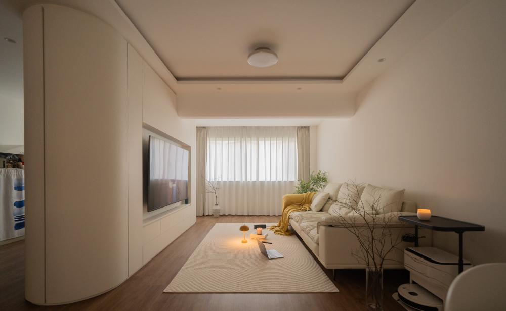 Minimalist Living Room with Bookshelf and TV Console