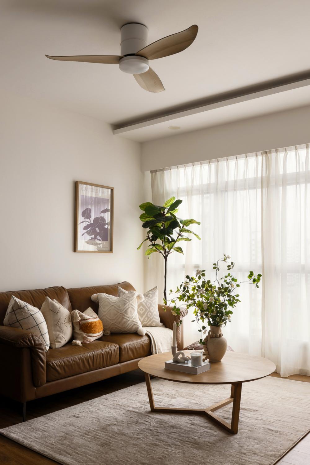 Contemporary Living Room with Ceiling Fan and Carpet