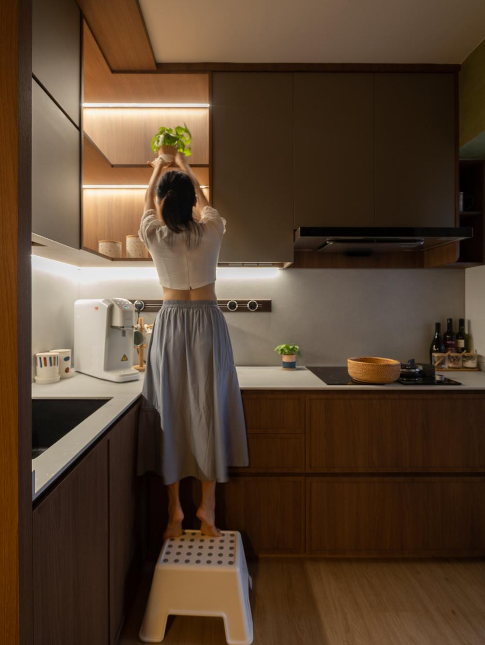 Scandinavian Kitchen with Countertop and Open Kitchen