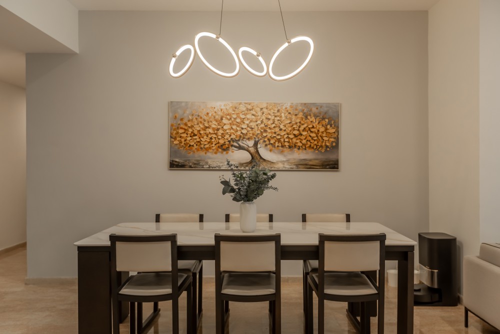 Modern Dining Room with Dining Table and Dining Chairs
