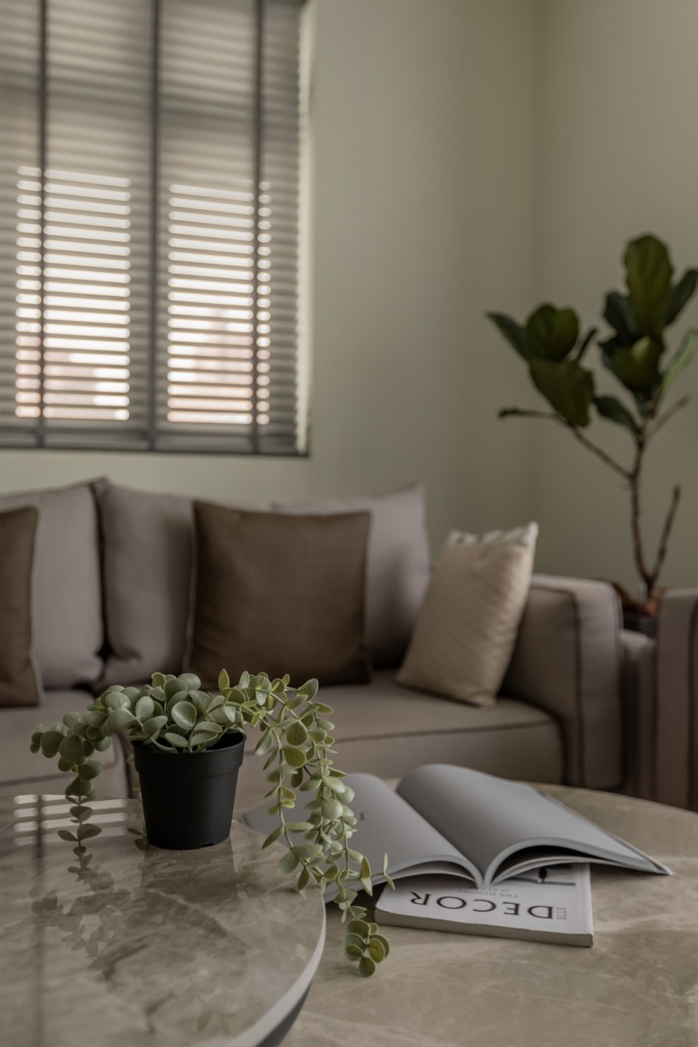 Modern Living Room with Sofa and Coffee Table