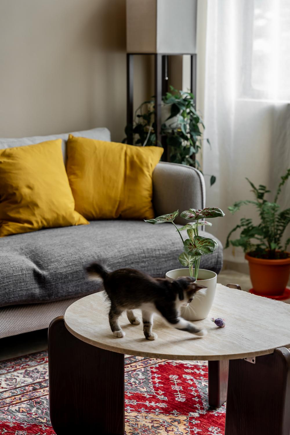 Vintage Living Room with Carpet and Sofa