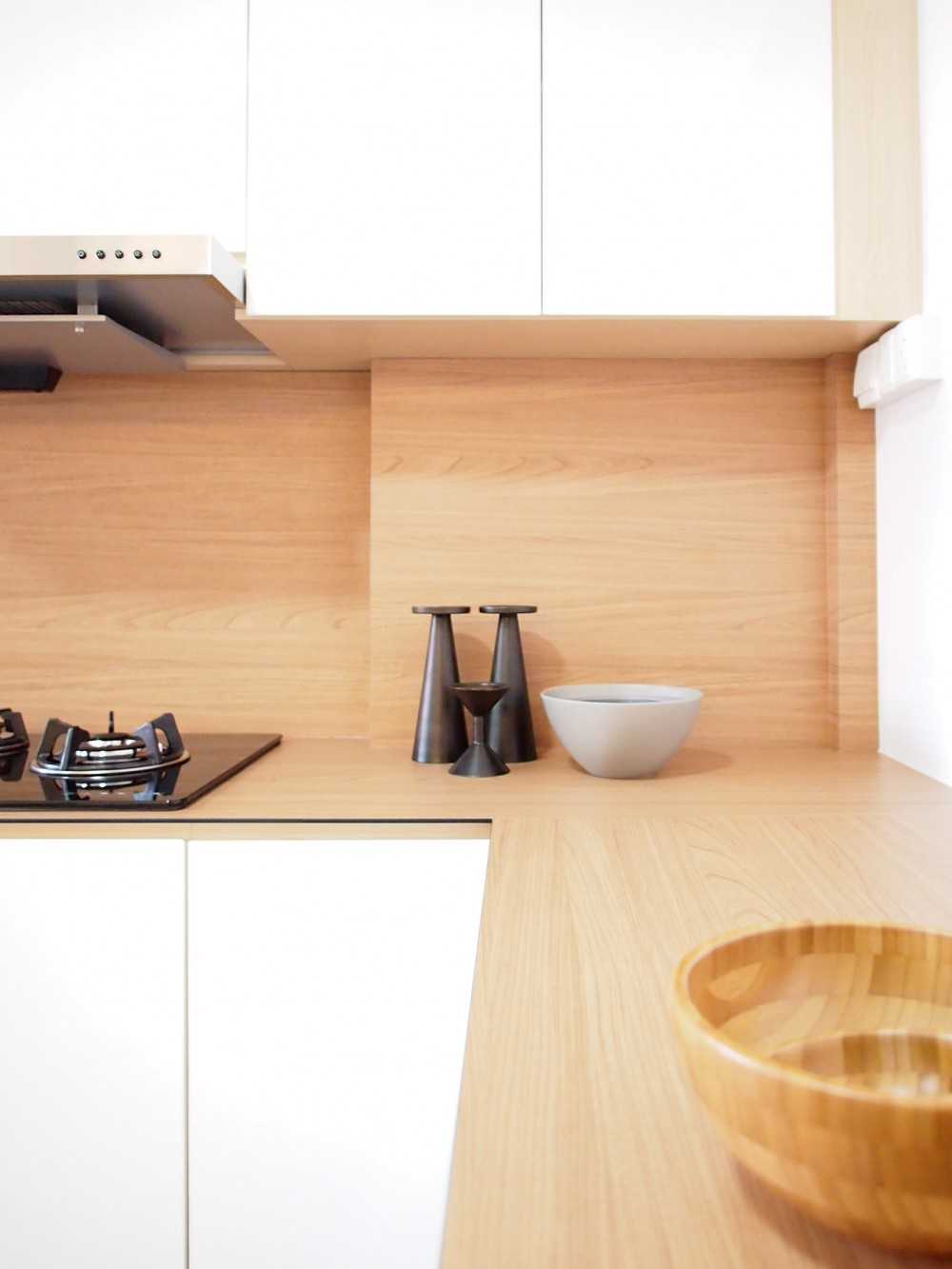 Scandinavian Kitchen with Countertop and Open Kitchen