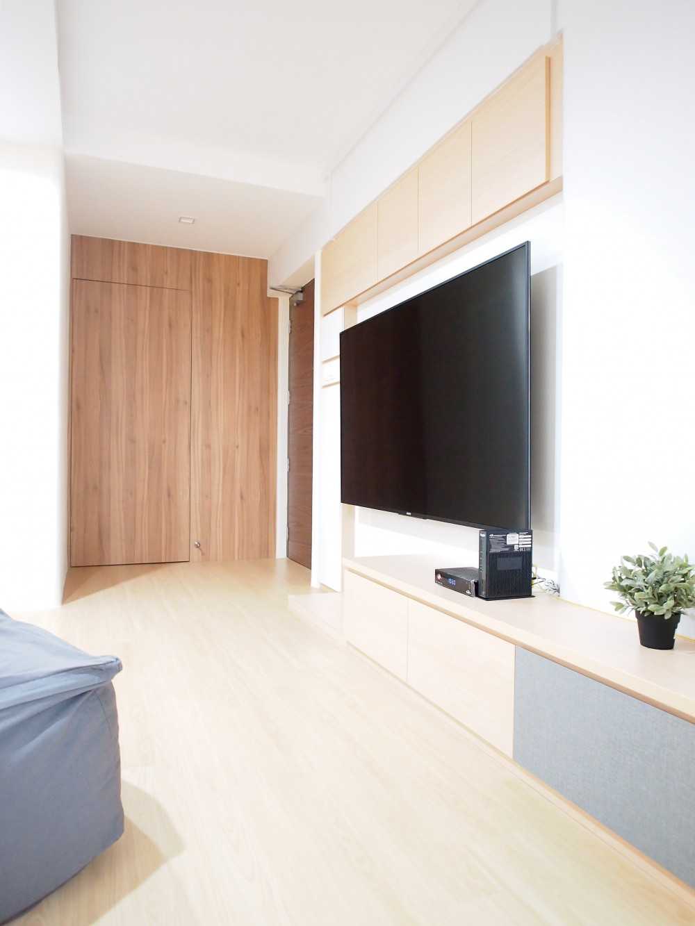 Scandinavian Living Room with TV Console and Feature Wall