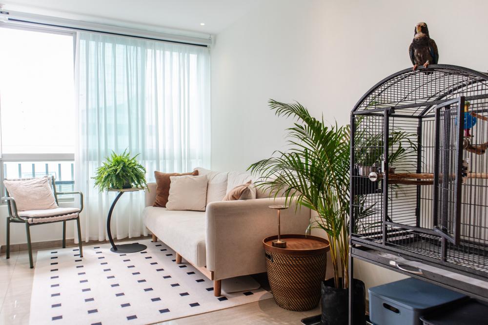 Scandinavian Living Room with Sofa and Outdoor Chairs