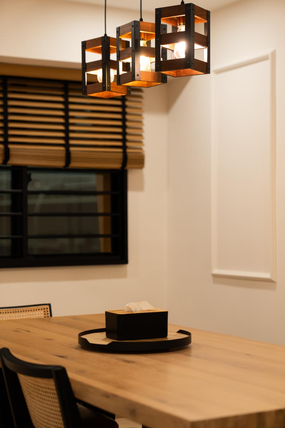 Scandinavian Dining Room with Drop Light and Ceiling Light