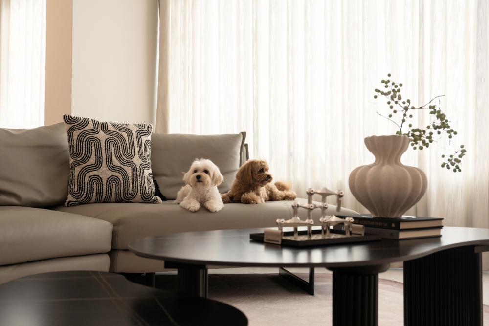 Modern Living Room with Marble Floor and Carpet