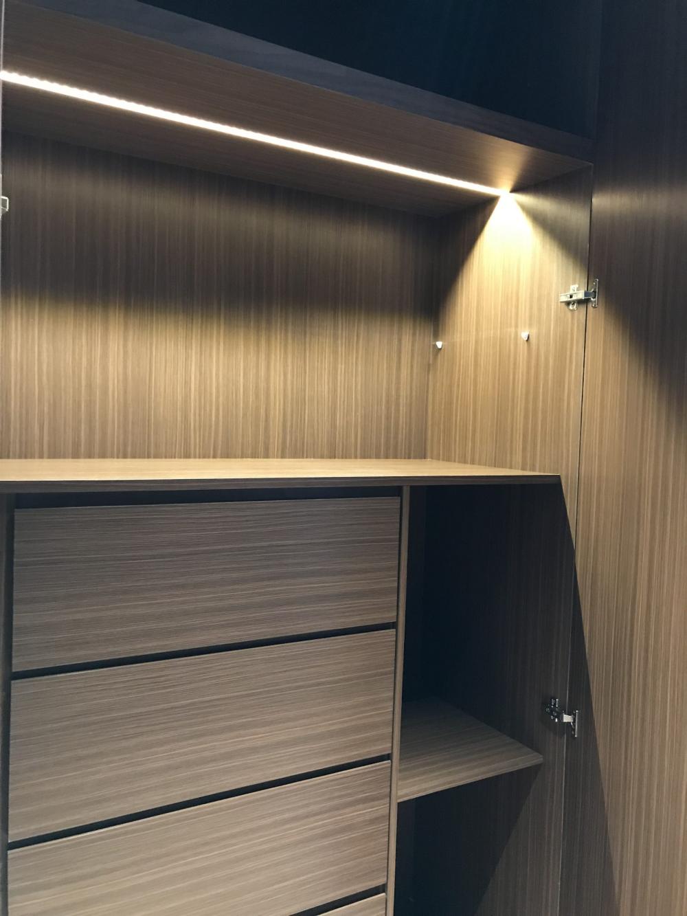 Contemporary Walk-in Wardrobe with Wardrobe and Clothes Storage