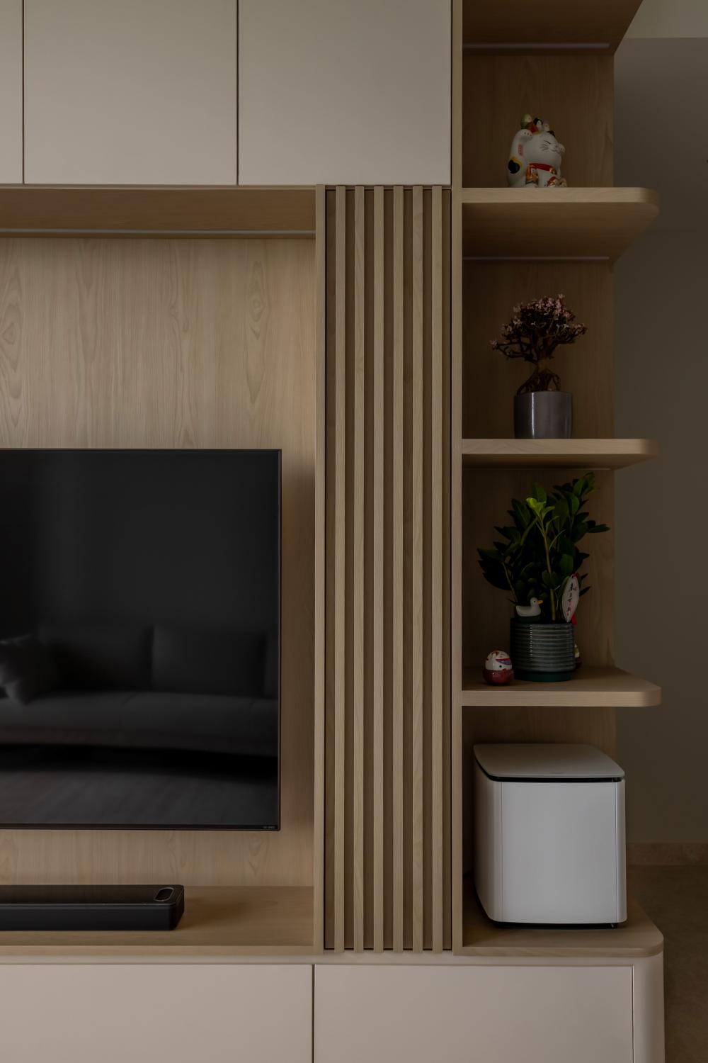 Modern Living Room with TV Console and TV