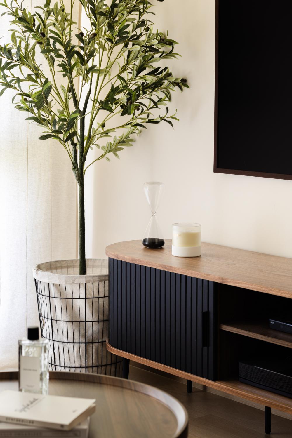Minimalist Living Room with TV Console and Houseplants