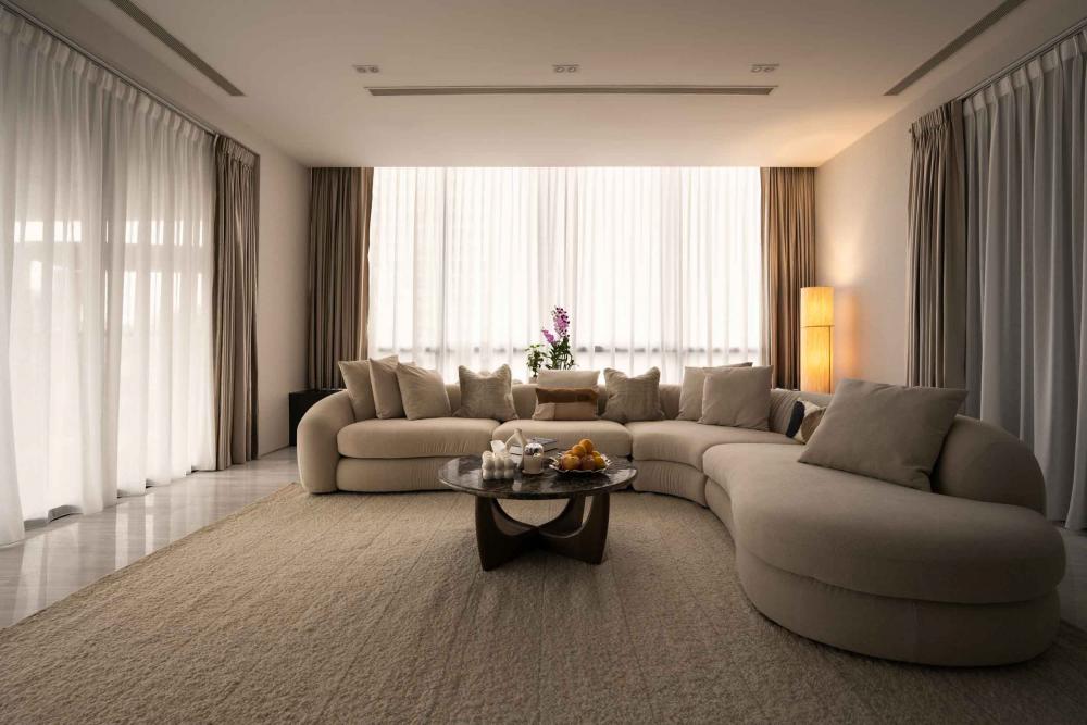 Modern Living Room with Curtain and Sofa
