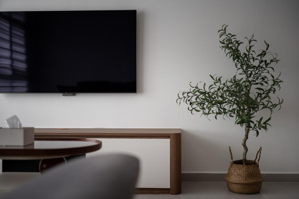 Minimalist Living Room with TV Console and TV