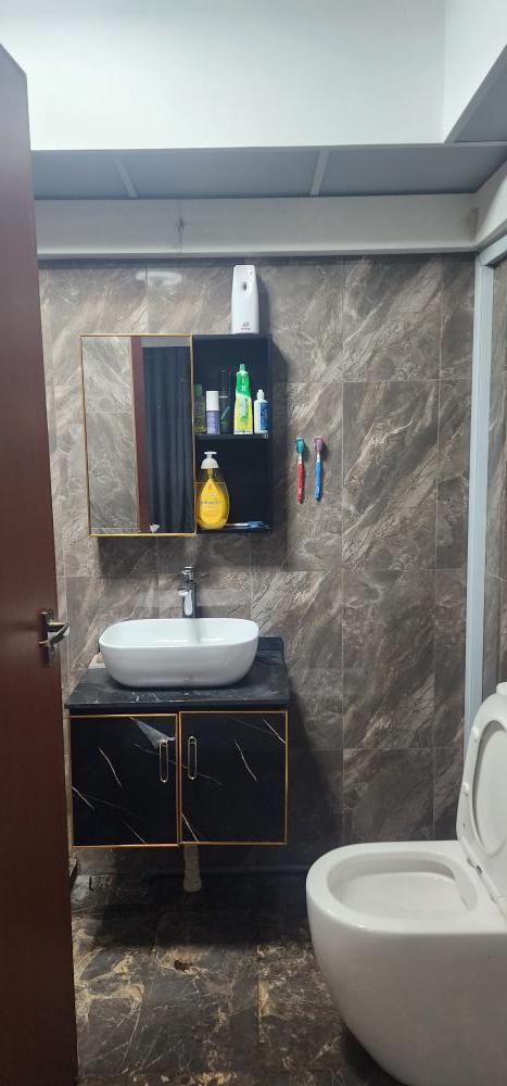 Modern Bathroom with Homogeneous Tiles and Tiles