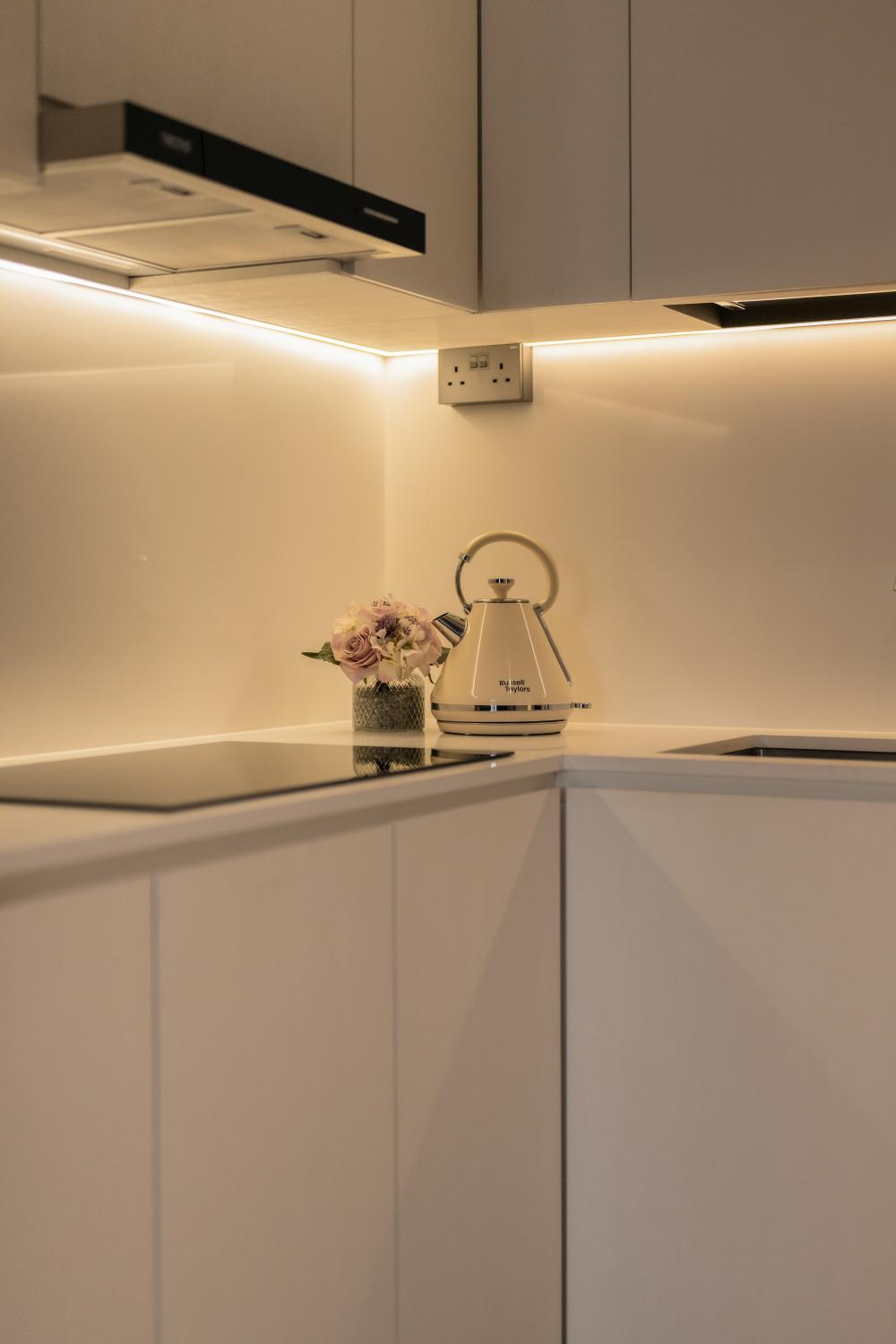 Modern Kitchen with Countertop and Kitchen Backsplash
