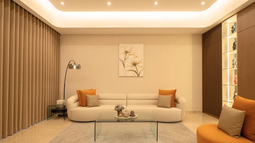 Contemporary Living Room with Sofa and TV