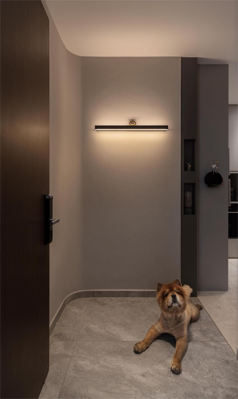 Modern Entryway with Doors and Pets