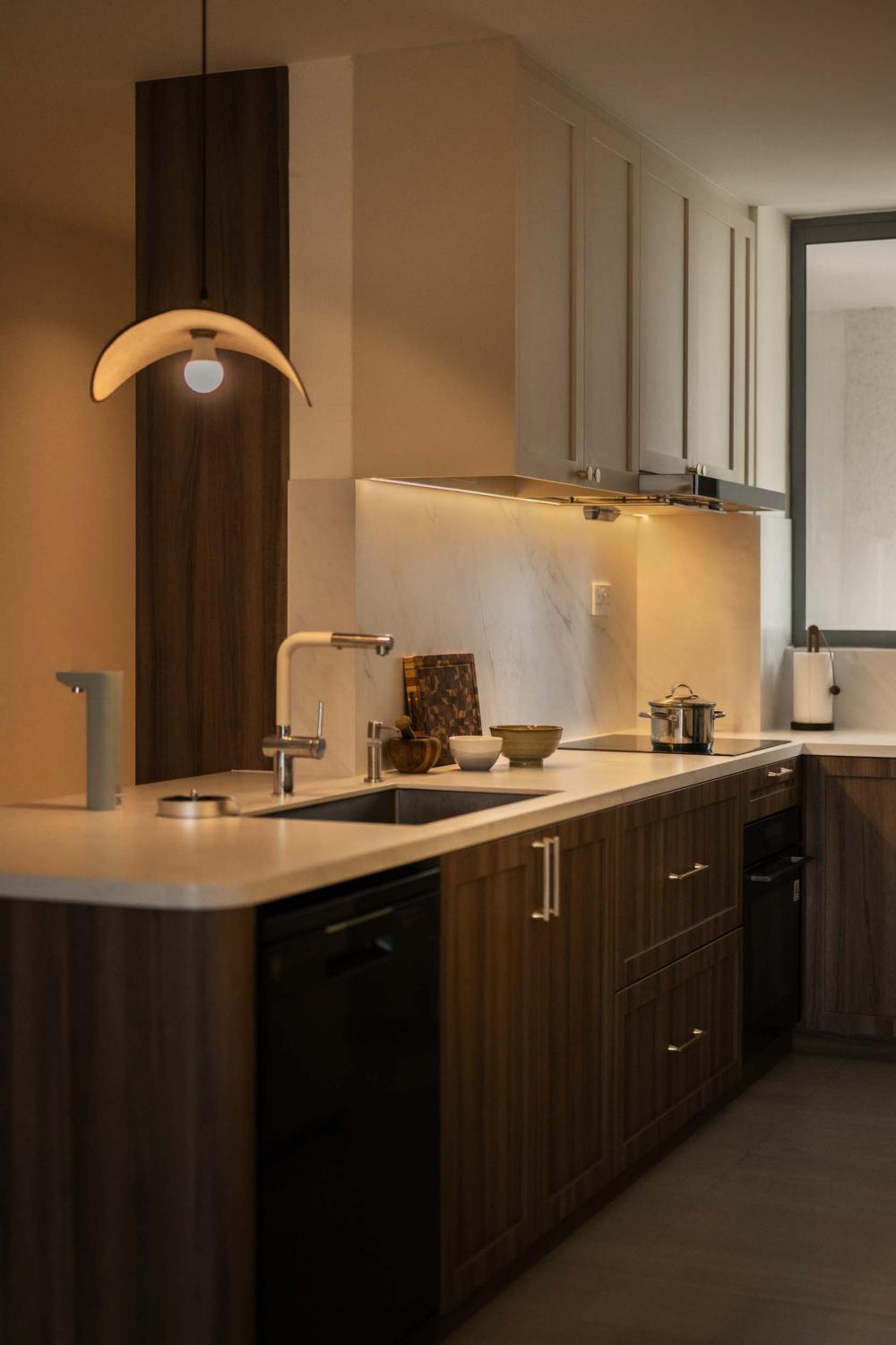 Contemporary Kitchen with Countertop and Cupboard