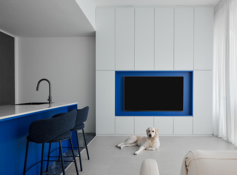 Modern Living Room with TV Console and Sofa