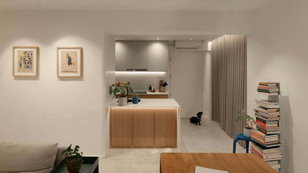 Modern Living Room with Bookshelf and Countertop
