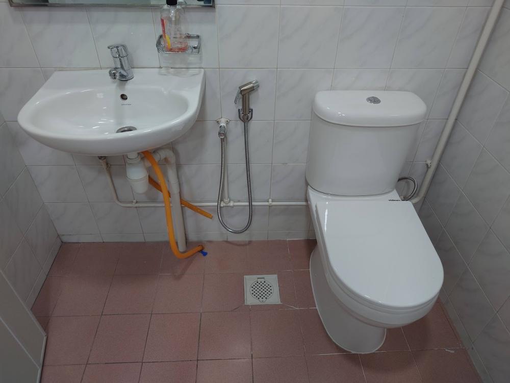 Asian Bathroom with Mirror and Bathroom Mirrors