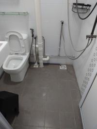 Asian Bathroom at 309 Serangoon Ave 2