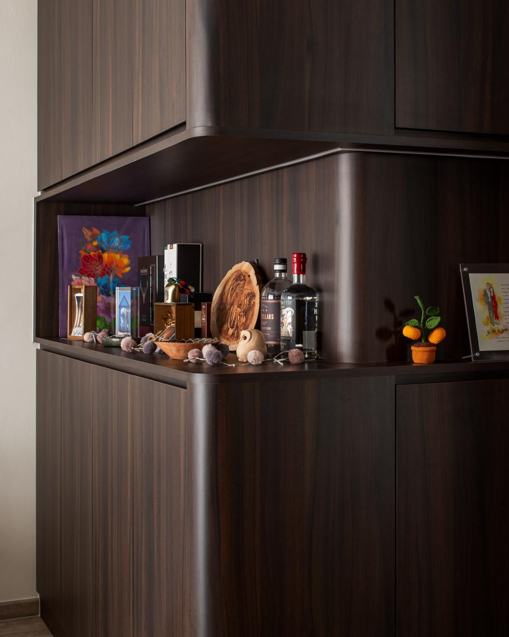 Contemporary Foyer with Storage Cabinets and Display Cabinets