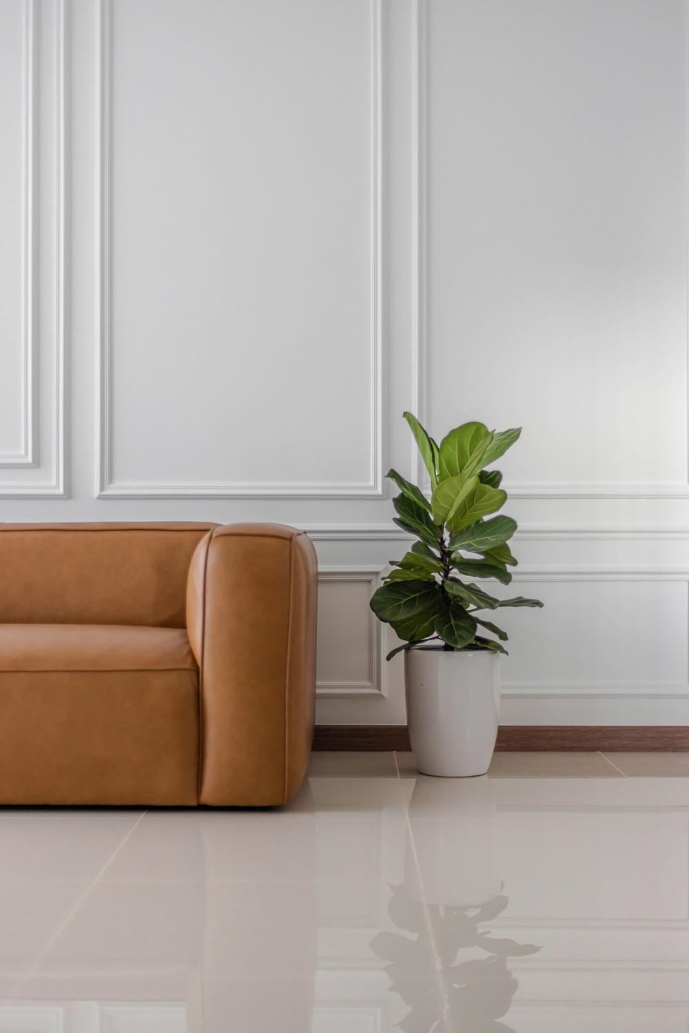 Transitional Living Room with Feature Wall and Houseplants