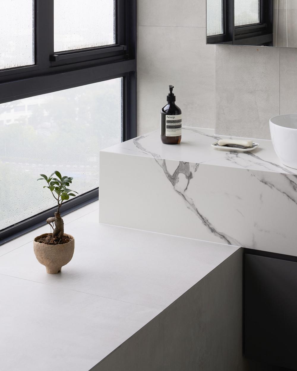 Minimalist Bathroom with Countertop and Homogeneous Tiles