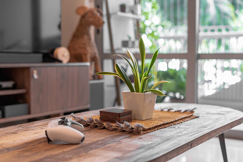 Modern Living Room with Lighting and Houseplants