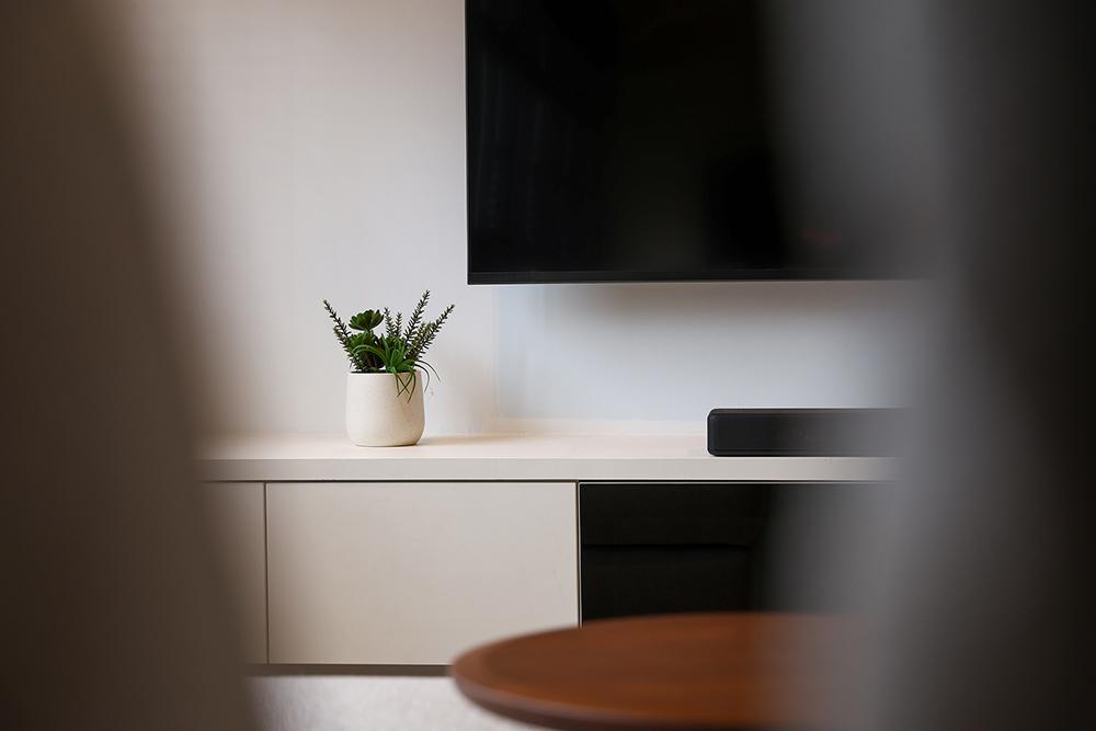Minimalist Living Room with TV Console and Houseplants