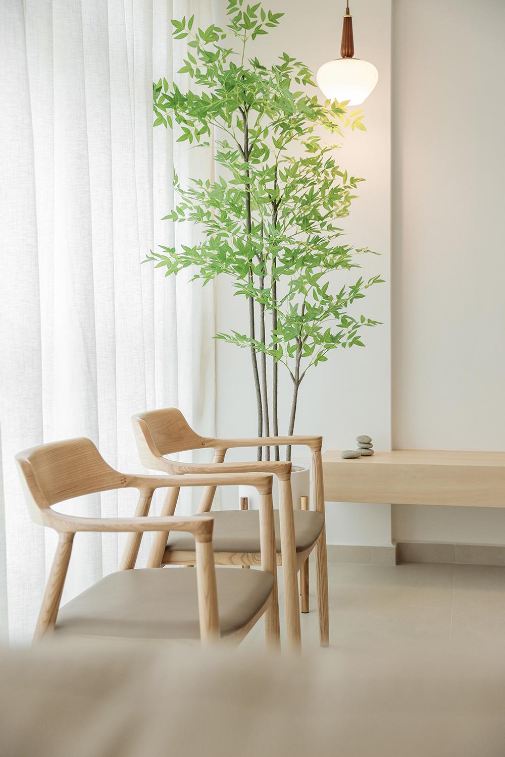 Minimalist Living Room with Armchairs and Houseplants