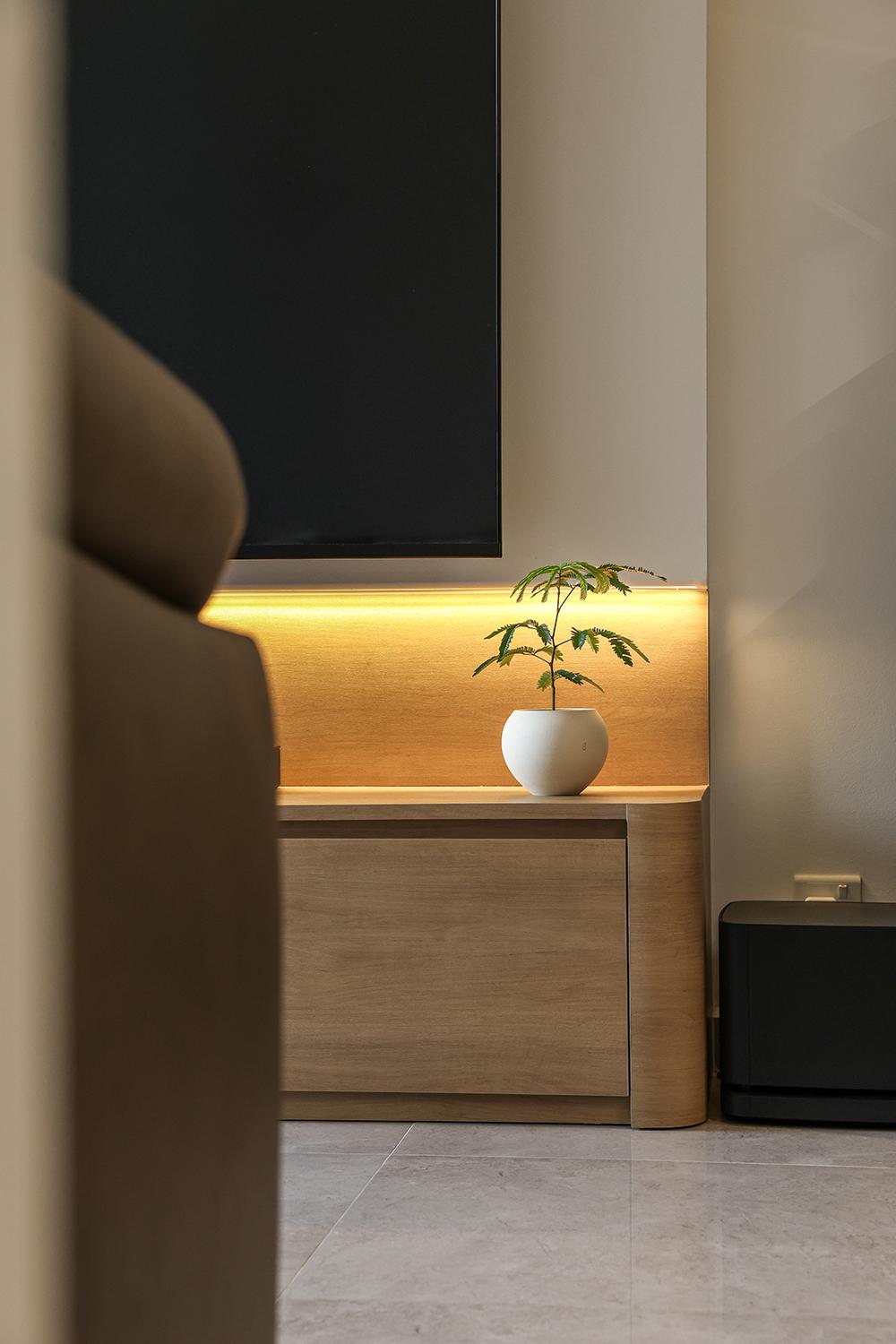 Modern Living Room with TV Console and Feature Wall