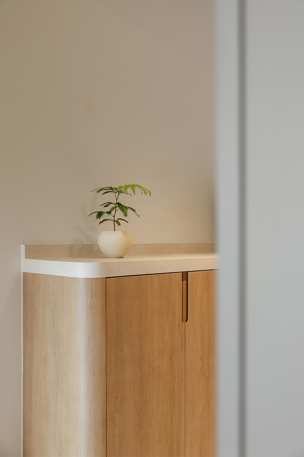 Modern Foyer with Planters and Shoe Cabinets